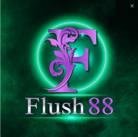 flsuh88 logo